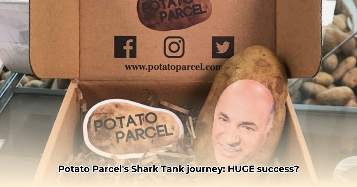 potato-parcel-shark-tank-net-worth